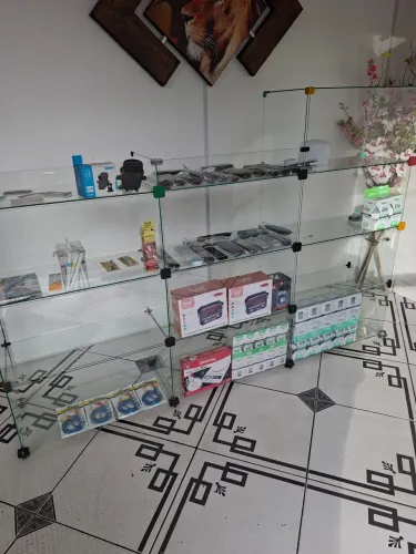 Vitrine de loja