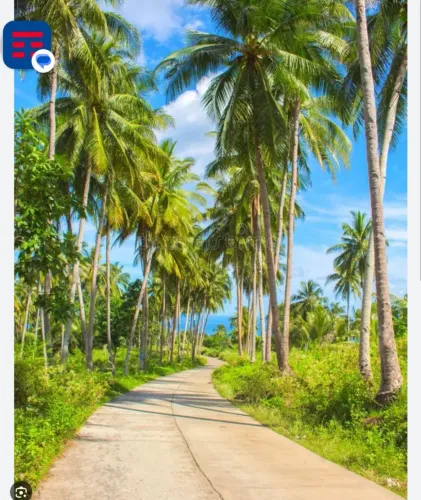 Viagens