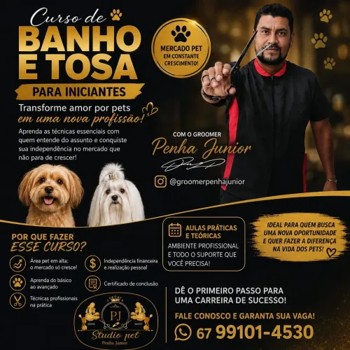 Curso de banho e tosa para iniciantes
