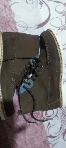 Bota