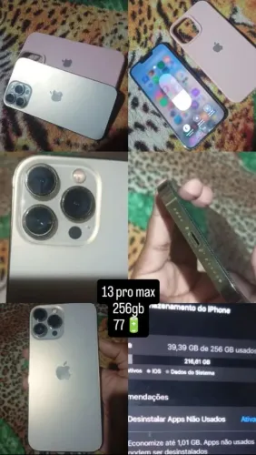 13 pro max