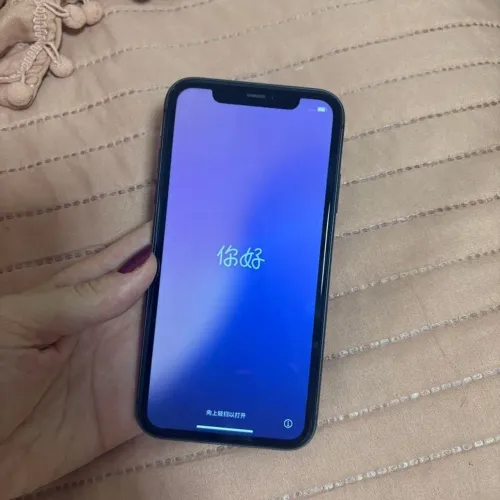 iPhone 11 64 gigas.