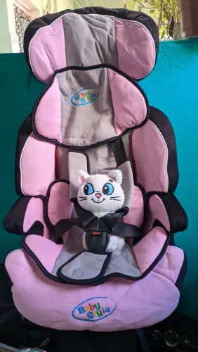Cadeirinha de bebê automotivo ( 9-36 kg)