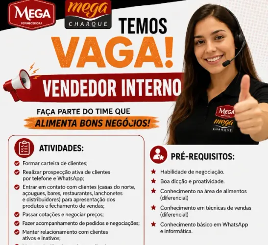 Vendedor Interno - Parque São Domingos