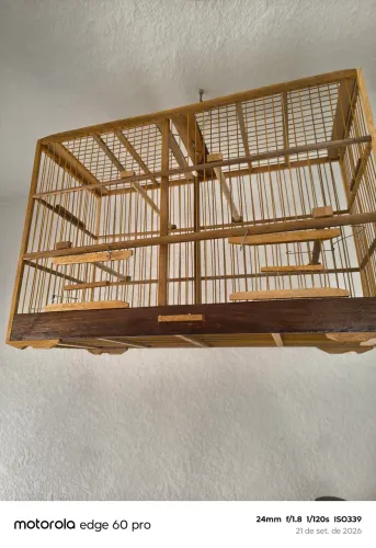 Casadeira e baiana padrão