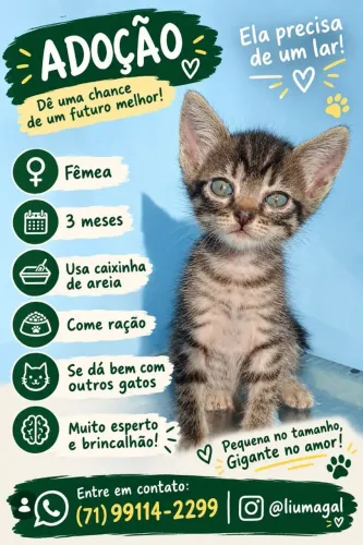 Ei humano adote mim