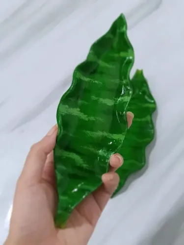 Folha esmaltada espadinha?