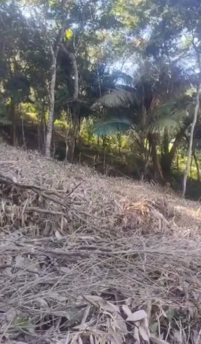 Terreno na prainha de Mambucaba 12×25