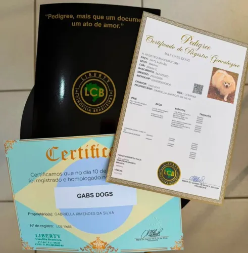 Peça já o Pedigree para seu cão de Raça