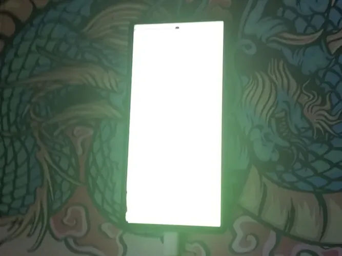 Samsung Galaxy S22 Ultra 512GB (defeito na tela)