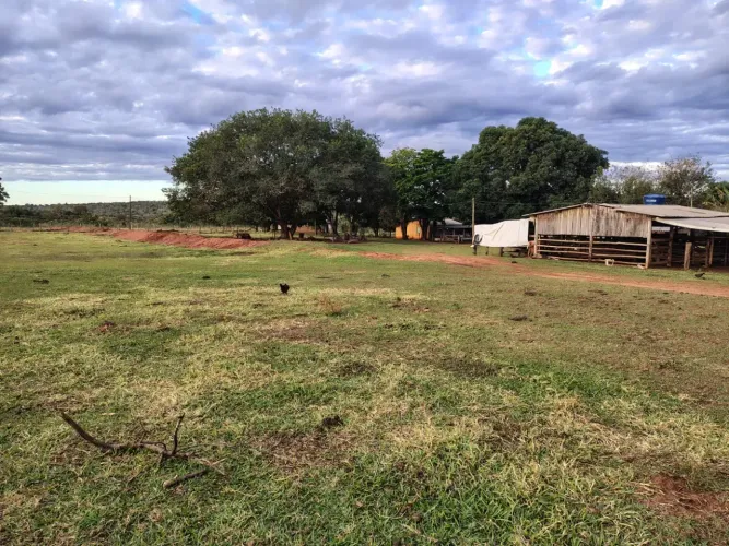 Fazenda 484 HA-  Anhanduí- Campo Grande - MS