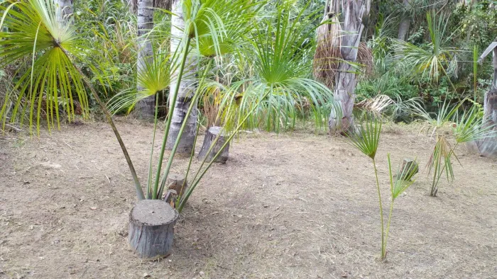 CHÁCARA COM RIO PRÓXIMA À TERRA RONCA. RIO ÁGUA QUENTE PARAÍSO PARA DESCANSO E LAZER.
