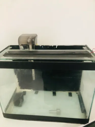 Aquário 