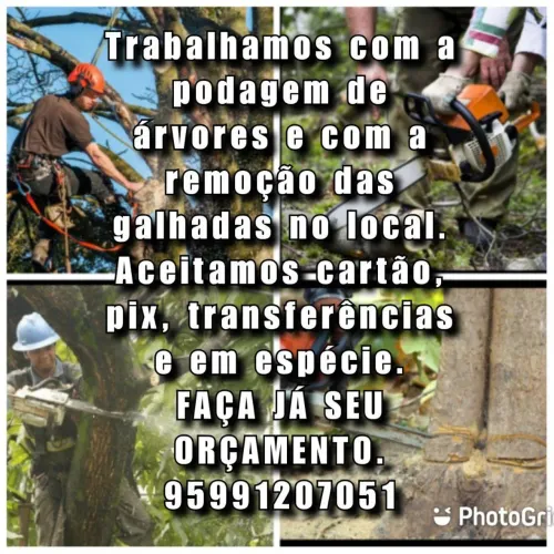 Cortes e podas de árvores 