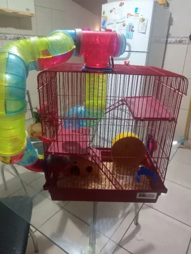 Vendo gaiola de hamster usada
