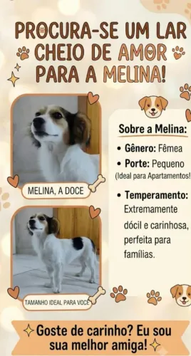 Doação