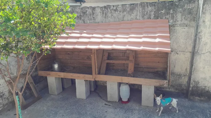 Viveiro doação 