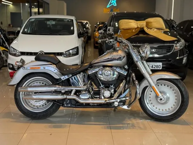 HARLEY-DAVIDSON FLSTF 2009