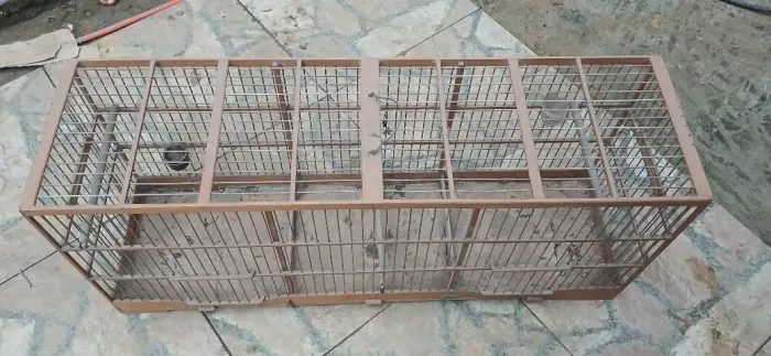 Voador de trinca ferro 110cm