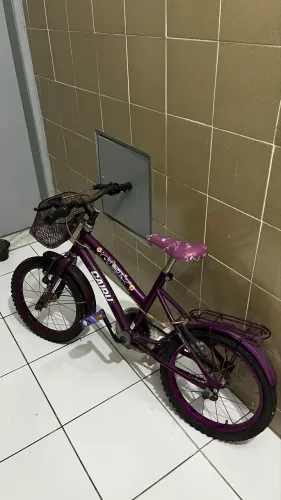 Bicicleta Infantil Cairu Aro 16 Violeta