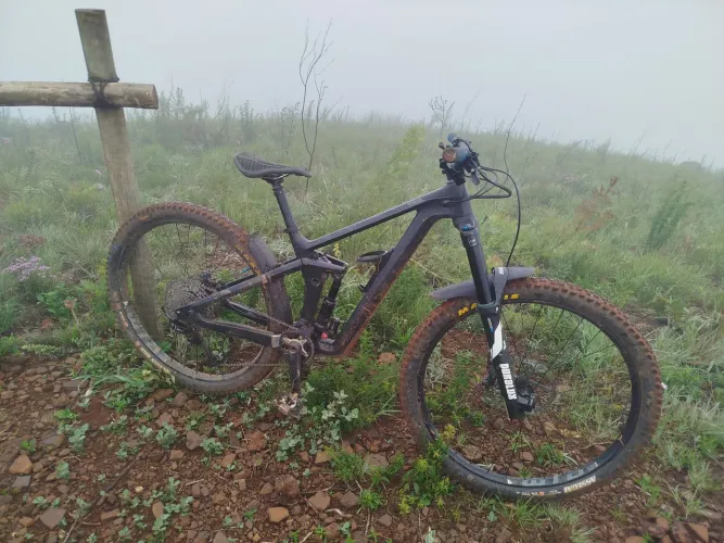 Canyon Strive CF 8