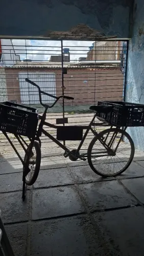 Bicicleta de carga