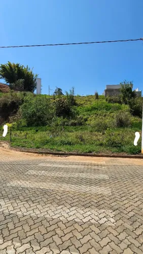 Lote - Barreira Cravo Verde