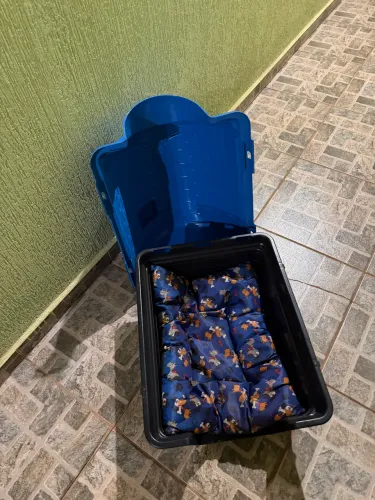 Casa de cachorro 