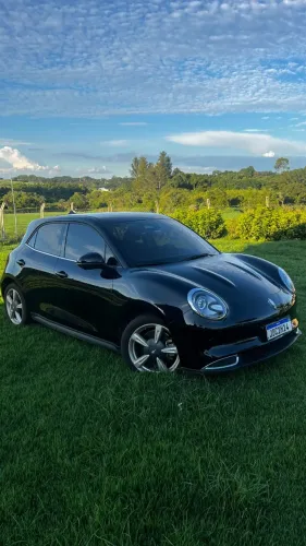 GWM Ora 03 Skin (elétrico) 2024