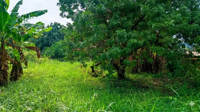 Vendo terreno plano Maravista Itaipu