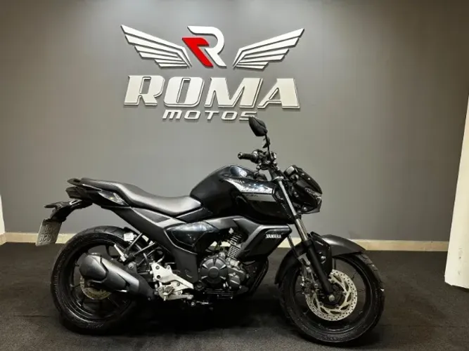 FZ15