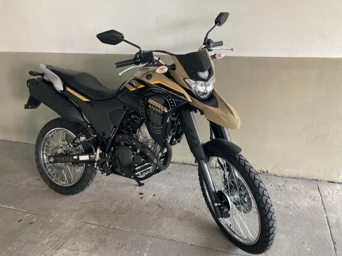XTZ Lander 2024/24