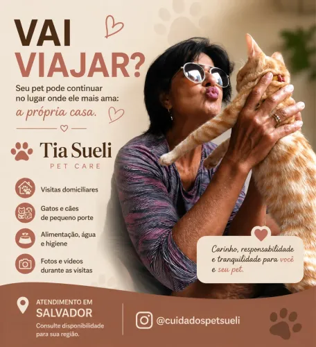 Pet Sitter em Salvador | Cuido de Gatos e Cães Pequenos ?