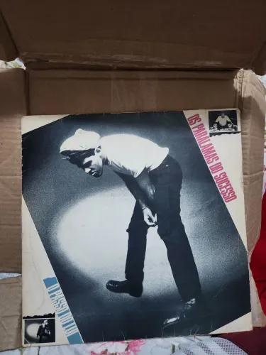 Disco de vinil lp paralamas do sucesso o passo do Lui