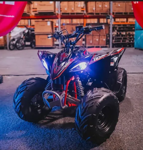 Quadriciclo 110cc Rhino - Aventura e Diversão!