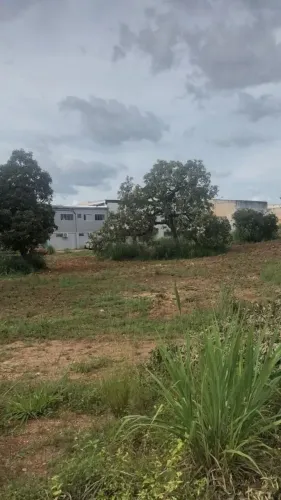 Área Comercial - Palmas