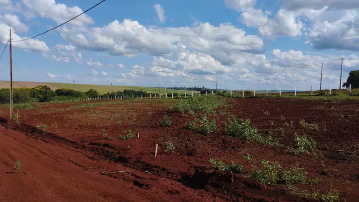 Chácara 1.000m2 em Floresta-Pr,perto da cidade, R$ 150.000,00