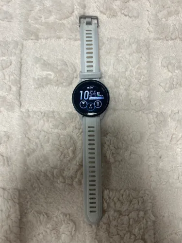 Garmin 165