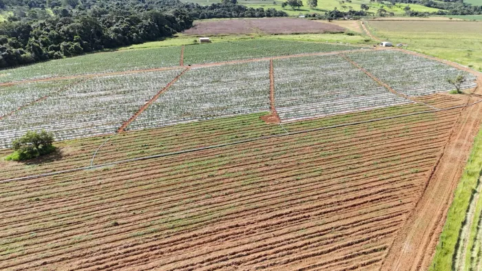 Chácara de 5.22 alqueires Corumbá de Goiás
