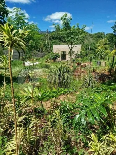 Linda chácara a venda no RIO ACIMA em Uberlândia beira rio uberabinha