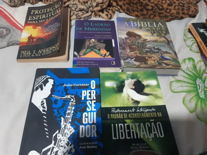 Livros Antigos em Ótimo Estado