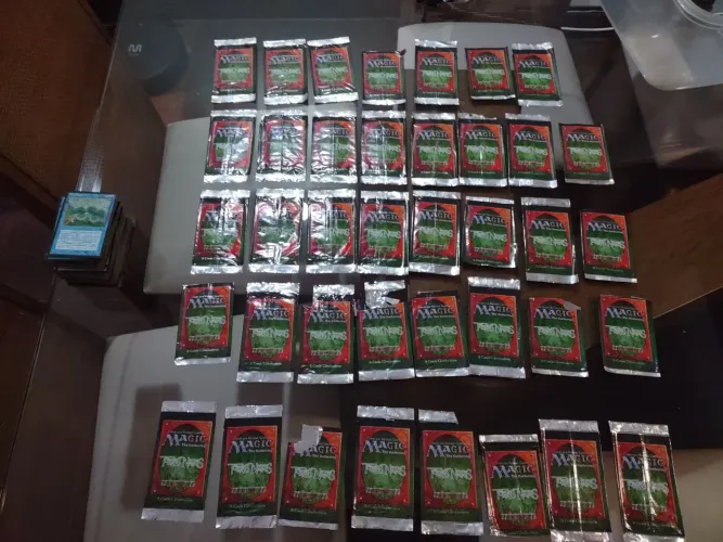Magic: The Gathering - Terras Natais - Lote com 264 cartas
