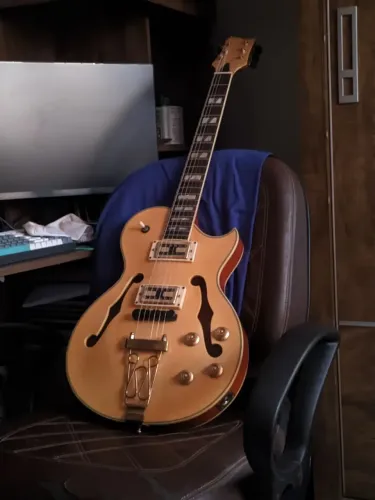 Guitarra Semi-acústica Golden Gsh-570