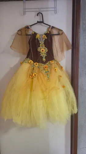 Fantasia de Girassol 10 anos