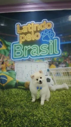 Lulu 