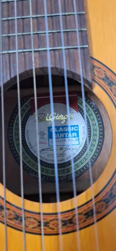 Violão DiGiorgio Clássico 28