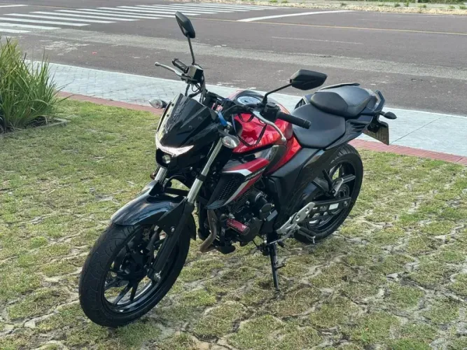Yamaha FZ25 Flex Manual