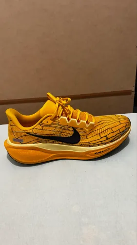 Nike Air Zoom pegasus 41