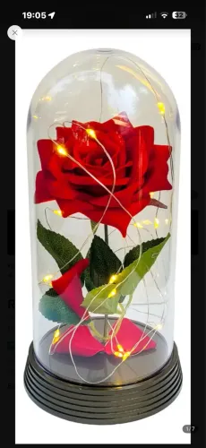 Rosas encapsulados 