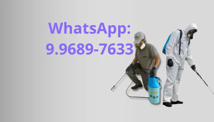 Dedetização
